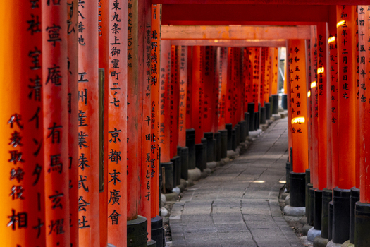 View of the iconic Senbon Torii gates with vibrant vermilion pillars and black bases lining a stone path at Fushimi Inari taisha Kyoto Kyoto Japan.