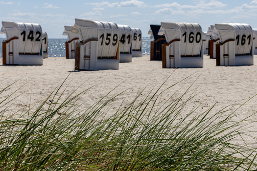 View of Strand Schillig with numbered traditional beach chairs on the sandy shore and green dune grass under a cloudy sky in Wangerland Niedersachsen Germany. View of Strand Schillig with numbered traditional beach chairs on the sandy shore and green dune grass under a cloudy sky in Wangerland Niedersachsen Germany.