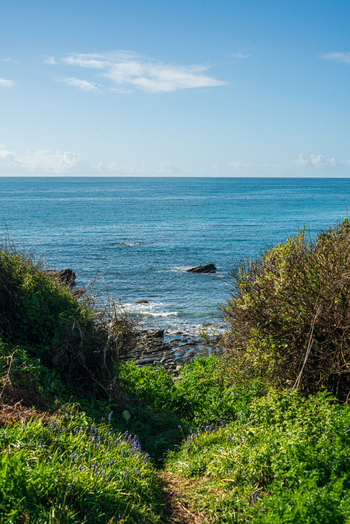 View of the South West Coastal Path overlooking Portnadler Bay with lush green vegetation rocky shoreline and calm blue sea in Looe Cornwall United Kingdom. View of the South West Coastal Path overlooking Portnadler Bay with lush green vegetation rocky shoreline and calm blue sea in Looe Cornwall United Kingdom.