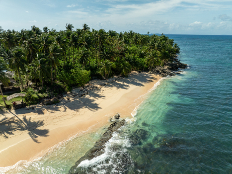 Aerial view of a tropical beach with lush palm trees rocky coastline and turquoise waters in Siargao Philippines. Aerial view of a tropical beach with lush palm trees rocky coastline and turquoise waters in Siargao Philippines.