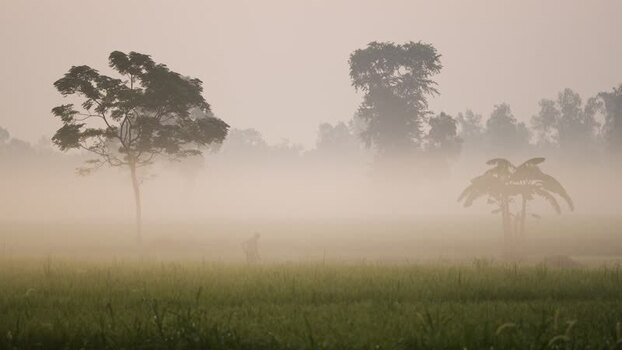 View of a farmer in a misty field at dawn Bangladesh.