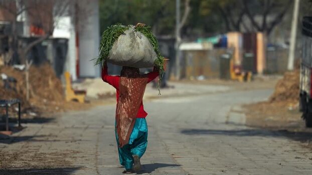 View of a woman carrying a sack of fodder on her head India.