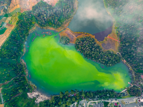 Aerial view of Telaga Warna Dieng featuring vibrant green volcanic lake waters surrounded by lush forest and terraced agricultural fields in Kecamatan Kejajar Jawa Tengah Indonesia. Aerial view of Telaga Warna Dieng featuring vibrant green volcanic lake waters surrounded by lush forest and terraced agricultural fields in Kecamatan Kejajar Jawa Tengah Indonesia.