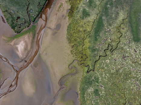 Aerial view of Findhorn Bay featuring winding tidal channels and green salt marsh vegetation Findhorn Scotland United Kingdom. Aerial view of Findhorn Bay featuring winding tidal channels and green salt marsh vegetation Findhorn Scotland United Kingdom.