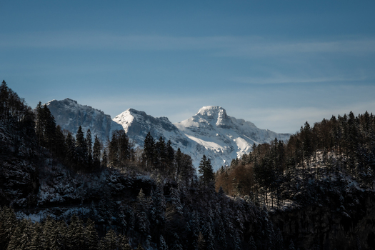 View of snow laden evergreens frame a majestic mountain range under a clear azure sky in Train from Lucerne to Interlaken Switzerland. View of snow laden evergreens frame a majestic mountain range under a clear azure sky in Train from Lucerne to Interlaken Switzerland.