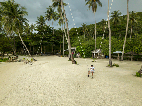 Aerial view of a person swinging between palm trees on Bobby Beach with verdant foliage meeting the pale sand under a cloudy sky Karimunjawa Jawa Tengah Indonesia.