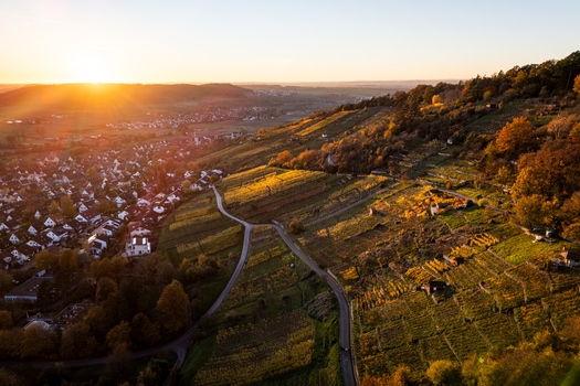 Aerial view of the Unterjesingen vineyards and village during a golden sunset with autumn foliage and rolling hills Tubingen Baden Wurttemberg Germany. Aerial view of the Unterjesingen vineyards and village during a golden sunset with autumn foliage and rolling hills Tubingen Baden Wurttemberg Germany.