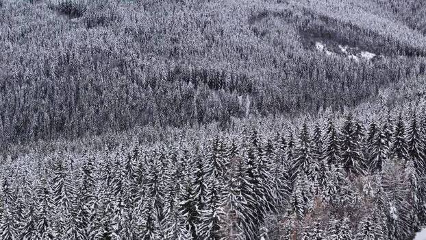 Aerial view of snow covered forest in Weststeiermark Austria.