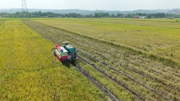 Aerial view of combine harvester in field Indonesia.