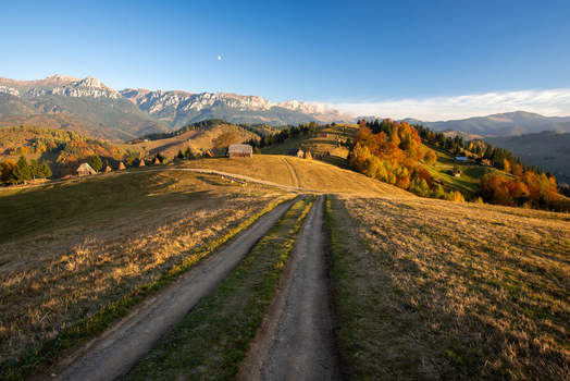 View of a dirt road leading through rolling hills with traditional haystacks and vibrant autumn foliage under a clear blue sky in Alba Iulia Alba County Romania. View of a dirt road leading through rolling hills with traditional haystacks and vibrant autumn foliage under a clear blue sky in Alba Iulia Alba County Romania.