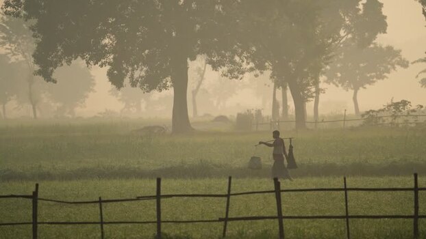 View of a farmer walking through misty fields in Bogura Bangladesh.