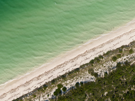 Aerial view of the turquoise waters and white sand coastline with lush green vegetation along the shore in Las Coloradas Yucatan Mexico.