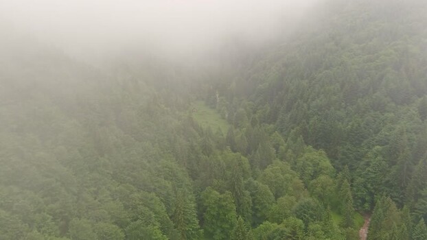 Aerial view of dense forest in thick fog Romania. Aerial view of dense forest in thick fog Romania.