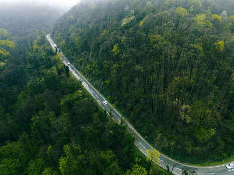 Aerial view of a winding road cutting through the vivid green forest a tapestry of nature s artistry Fruska Gora Novi Sad Vojvodina Serbia. Aerial view of a winding road cutting through the vivid green forest a tapestry of nature s artistry Fruska Gora Novi Sad Vojvodina Serbia.
