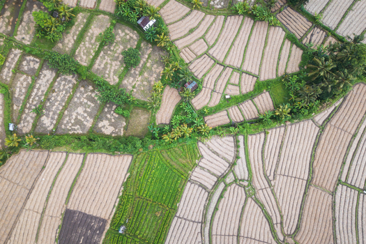Aerial view of the intricate patterns of rice terraces and lush tropical vegetation in Sidemen Bali Indonesia.
