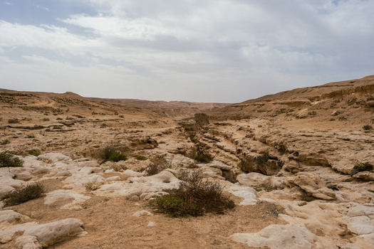View of the arid landscape carved with rugged gorges and sun baked rocks under a vast sky in Wadi Degla Protectorate Cairo Cairo Governorate Egypt. View of the arid landscape carved with rugged gorges and sun baked rocks under a vast sky in Wadi Degla Protectorate Cairo Cairo Governorate Egypt.