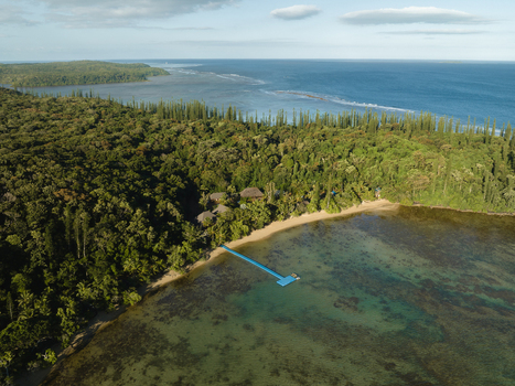 Aerial view of a serene beach where turquoise waters meet lush green forests framed by the vast ocean under a clear sky Goro South Province New Caledonia. Aerial view of a serene beach where turquoise waters meet lush green forests framed by the vast ocean under a clear sky Goro South Province New Caledonia.
