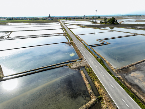 Aerial view of flooded rice fields and a straight asphalt road leading towards the town of Trino under a bright sky Trino Piedmont Italy.