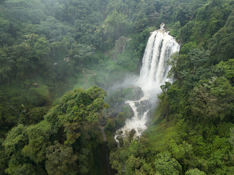 Aerial view of the majestic Curugsewu Waterfall cascading amidst the dense verdant forest contrasting the white water against the deep green canopy Kendal Regency Central Java Indonesia. Aerial view of the majestic Curugsewu Waterfall cascading amidst the dense verdant forest contrasting the white water against the deep green canopy Kendal Regency Central Java Indonesia.