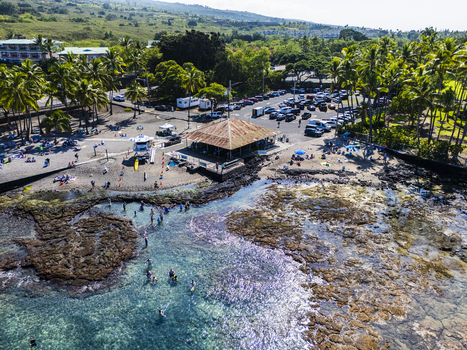 Aerial view of Kahalu u Beach Park with people snorkeling in clear turquoise water along the rocky shoreline and palm trees in Kailua Kona Hawaii United States. Aerial view of Kahalu u Beach Park with people snorkeling in clear turquoise water along the rocky shoreline and palm trees in Kailua Kona Hawaii United States.