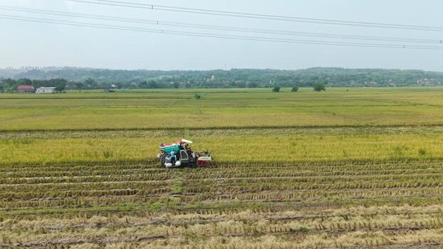 Aerial view of rice harvester in field Indonesia.