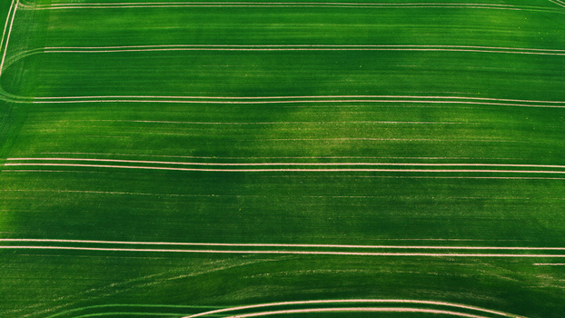 Aerial view of a vibrant green agricultural field with parallel tractor tracks running across the landscape in LATVIJA. Aerial view of a vibrant green agricultural field with parallel tractor tracks running across the landscape in LATVIJA.