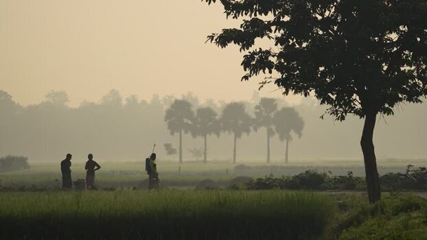 View of farmers in a misty rice field Bangladesh.
