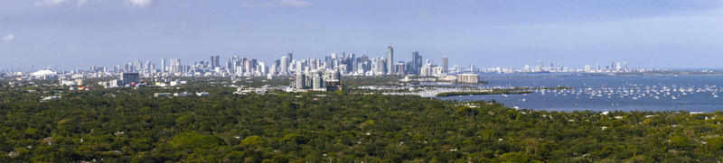 Aerial view of the lush green canopy of Coral Gables leading to the distant Miami skyline and the boat filled waters of Biscayne Bay Coral Gables Florida United States.