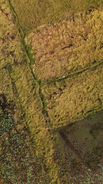 Aerial view of agricultural fields and wetlands in Cambodia. Aerial view of agricultural fields and wetlands in Cambodia.