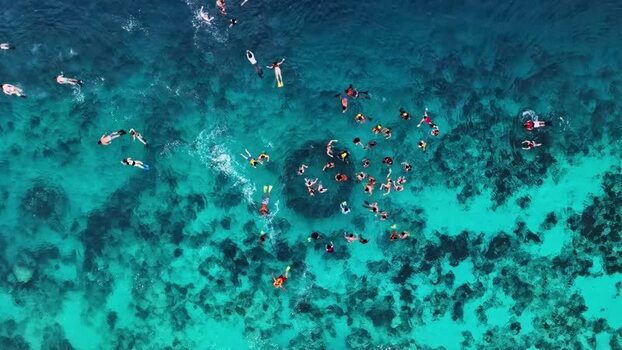 Aerial view of people snorkeling over a coral reef Indonesia.