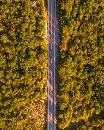 Aerial view of a straight asphalt road cutting through a dense green forest during golden hour Rijeka Primorje Gorski Kotar Croatia. Aerial view of a straight asphalt road cutting through a dense green forest during golden hour Rijeka Primorje Gorski Kotar Croatia.