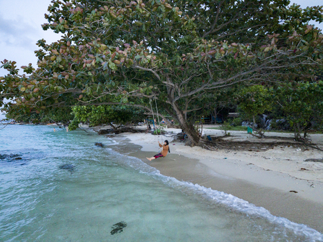 Aerial view of a lone figure on a swing beneath a sprawling tree on Tanjung Gelam Beach as gentle waves kiss the shore Karimunjawa Central Java Indonesia. Aerial view of a lone figure on a swing beneath a sprawling tree on Tanjung Gelam Beach as gentle waves kiss the shore Karimunjawa Central Java Indonesia.