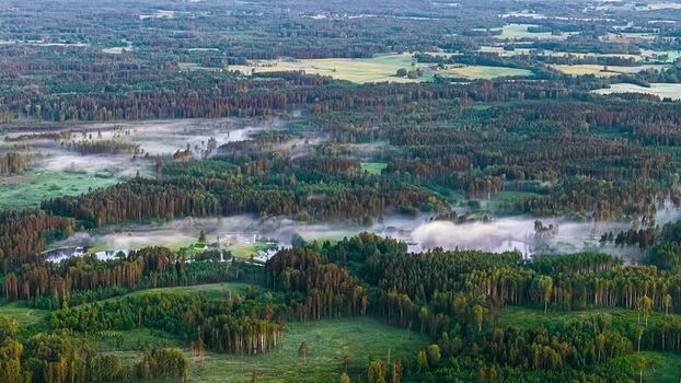 Aerial view of misty forests and fields in Latvia. Aerial view of misty forests and fields in Latvia.