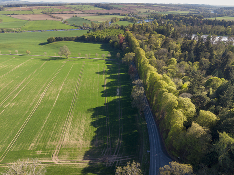 Aerial view of the Meikleour Beech Hedge bordering a road alongside lush green agricultural fields and the River Tay in Meikleour Scotland United Kingdom.