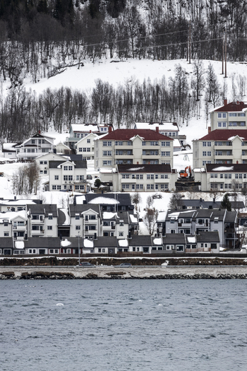 View of residential buildings and houses nestled on a snowy hillside overlooking the water with bare trees and winter landscape in Tromso Troms Norway. View of residential buildings and houses nestled on a snowy hillside overlooking the water with bare trees and winter landscape in Tromso Troms Norway.