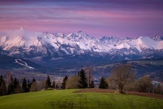 View of the snow capped Tatra Mountains under a vibrant pink sunset sky with green meadows and evergreen trees in the foreground in Czarna Gora Lesser Poland Poland. View of the snow capped Tatra Mountains under a vibrant pink sunset sky with green meadows and evergreen trees in the foreground in Czarna Gora Lesser Poland Poland.