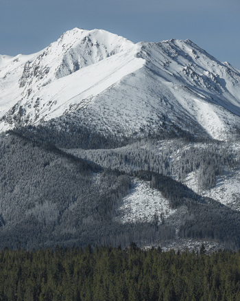 View of snow covered mountain peaks rising above a dense evergreen forest under a clear blue sky in Czarna Gora Lesser Poland Voivodeship Poland. View of snow covered mountain peaks rising above a dense evergreen forest under a clear blue sky in Czarna Gora Lesser Poland Voivodeship Poland.