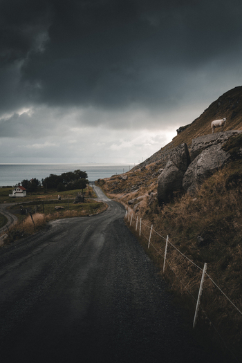 View of Haukland Beach with a winding road leading to the sea a lone sheep on the rocky hillside and dramatic dark clouds over the coastal landscape in Leknes Nordland Norway. View of Haukland Beach with a winding road leading to the sea a lone sheep on the rocky hillside and dramatic dark clouds over the coastal landscape in Leknes Nordland Norway.