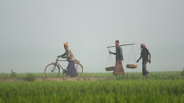 View of men walking through a misty field in Bogura Bangladesh. View of men walking through a misty field in Bogura Bangladesh.