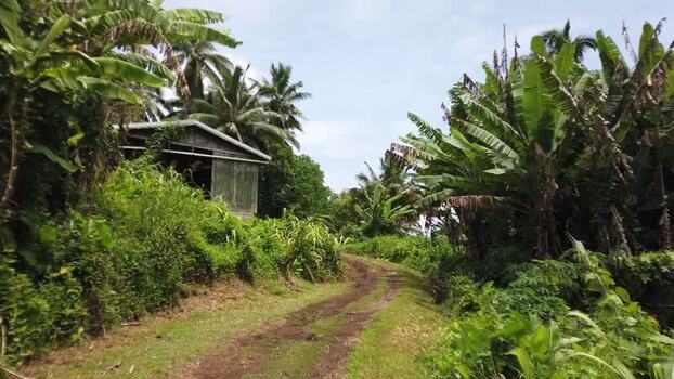 View of a rustic building and dirt path Pitcairn Islands.