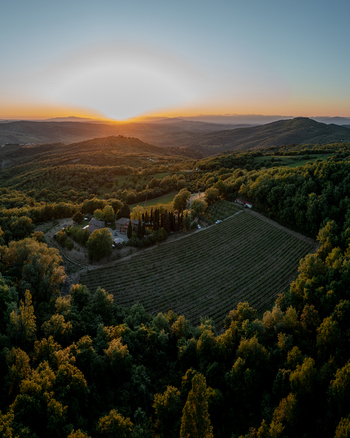 Aerial view of a vineyard and farmhouse nestled in the rolling hills of Tuscany at sunset surrounded by lush forests in Greve in Chianti Tuscany Italy.