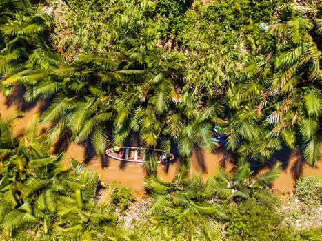 Aerial view of small wooden boats navigating a narrow river through dense tropical palm trees in Vietnam. Aerial view of small wooden boats navigating a narrow river through dense tropical palm trees in Vietnam.