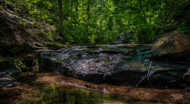 View of Pickle Springs Natural Area with a shallow stream flowing over flat rocks surrounded by lush green forest and dappled sunlight New Offenburg Missouri United States.
