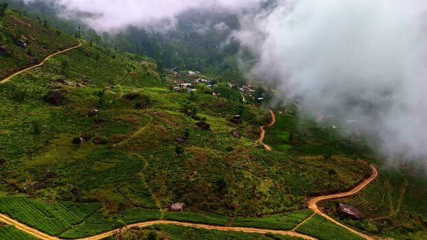 Aerial view of tea plantations in the hills of Sri Lanka.