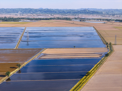 Aerial view of Tenuta Colombara with flooded rice fields reflecting the sky and geometric patterns across the rural landscape in Livorno Ferraris Piemonte Italy.
