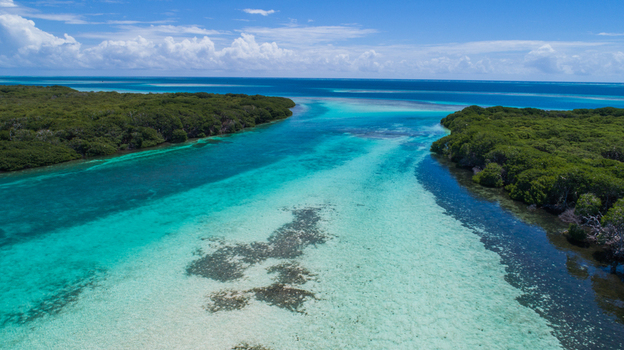 Aerial view of the turquoise waters and coral reefs of the Los Roques archipelago surrounded by lush mangrove forests in Los Roques Dependencias Federales Venezuela. Aerial view of the turquoise waters and coral reefs of the Los Roques archipelago surrounded by lush mangrove forests in Los Roques Dependencias Federales Venezuela.