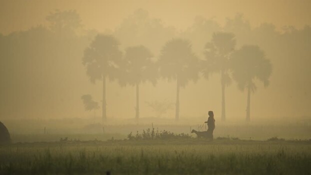 View of a person walking with a goat in misty fields Bangladesh. View of a person walking with a goat in misty fields Bangladesh.