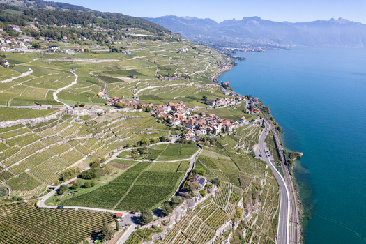 Aerial view of Vignoble du Lavaux featuring terraced vineyards overlooking Lake Geneva with the village of Rivaz lush green hills blue water clear sky. Rivaz Vaud Switzerland.