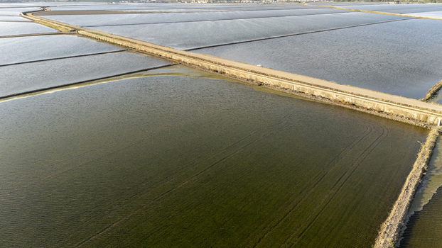 Aerial view of flooded rice paddies at Isla Minima with a dirt road crossing the agricultural landscape in Coria del Rio Andalusia Spain. Aerial view of flooded rice paddies at Isla Minima with a dirt road crossing the agricultural landscape in Coria del Rio Andalusia Spain.