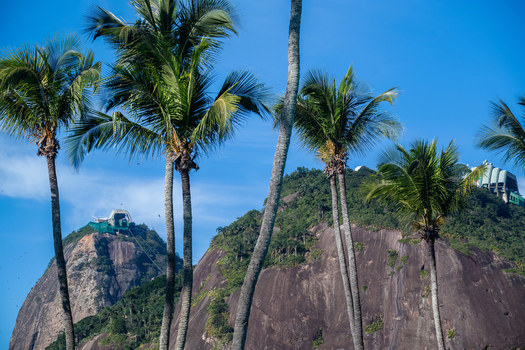 Aerial view of Sugarloaf Mountain framed by lush palm trees under a clear blue sky in Rio de Janeiro Rio de Janeiro Brazil.